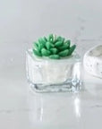 Succulent Tealight Candle