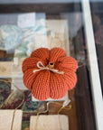 Knitted Pumpkin (Various Sizes)