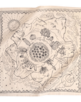 Desert Bandana