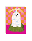 Ready to Party | Greeting Card
