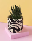 Nightshift Ceramics | Small Planter: Swirl