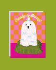 Ready to Party | Greeting Card