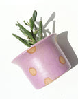 Nightshift Ceramics | Small Planter: Polka Dot