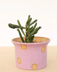 Nightshift Ceramics | Small Planter: Polka Dot