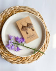 Brushed Silver Leaf Earrings