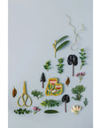Venus Trinket Tray