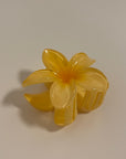 Tropical Flower Hair Claw