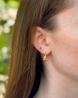 Flutter Hoops
