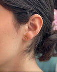 Habibi Studs
