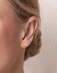 Jewelry Dish & Stud Earring Set - Dragonfly/Terracotta