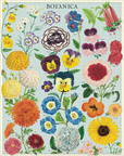 Vintage Puzzle | Botanica