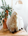 Alpaca Fur Standing Alpaca