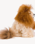 Alpaca Fur Lion