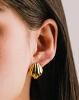 Shell Post Earrings
