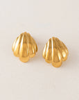 Shell Post Earrings