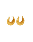 Aria Hoops