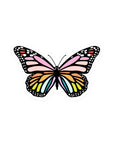 Rainbow Butterfly Sticker