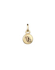 Zodiac Icon Charms
