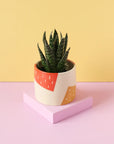 Nightshift Ceramics | Small Planter: Pieces