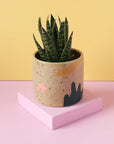 Nightshift Ceramics | Small Planter: Holiday