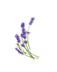 Pocket Hand Sanitizer | Lavender Eucalyptus