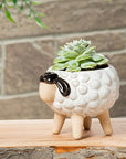 Sheep on Legs Planter
