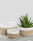 Bowl Basket: White