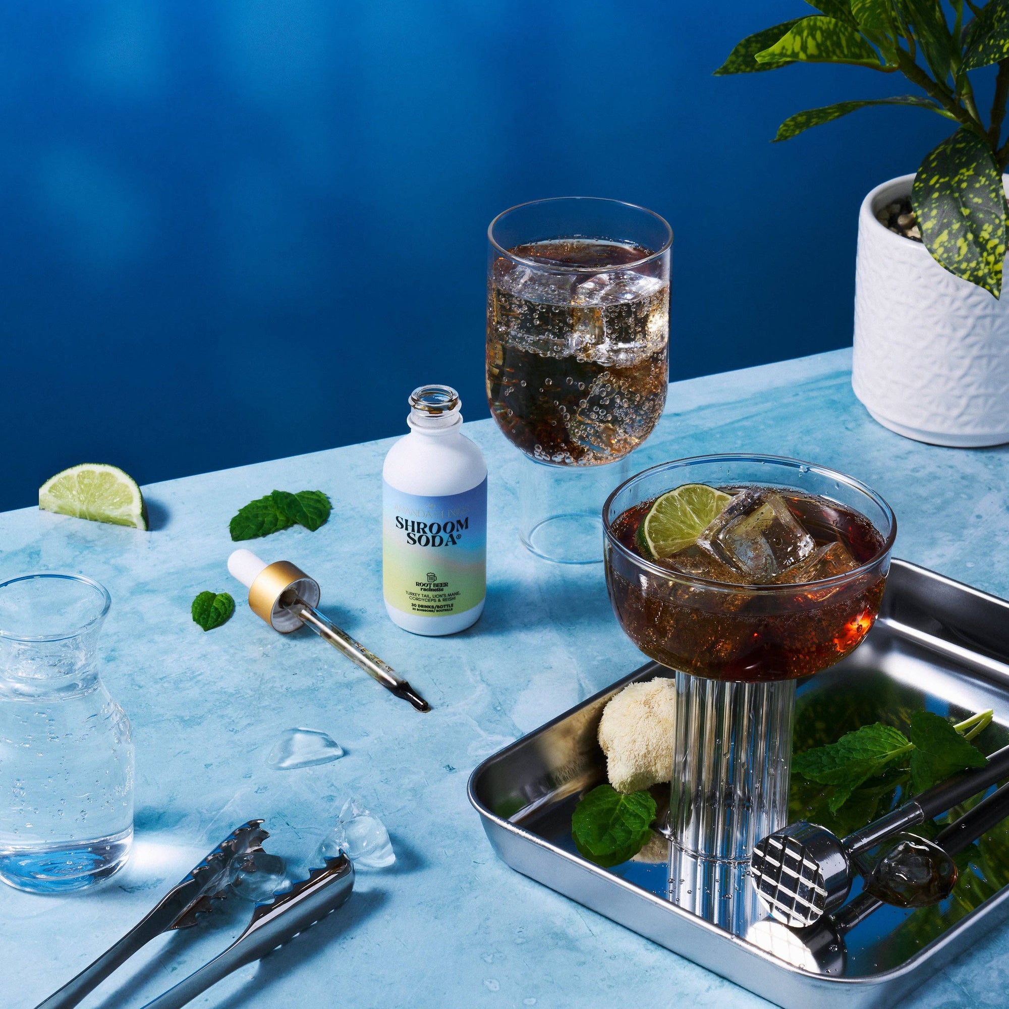 Shroom Soda®: Lemon Lime