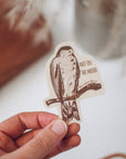 Grumpy Hawk Sticker