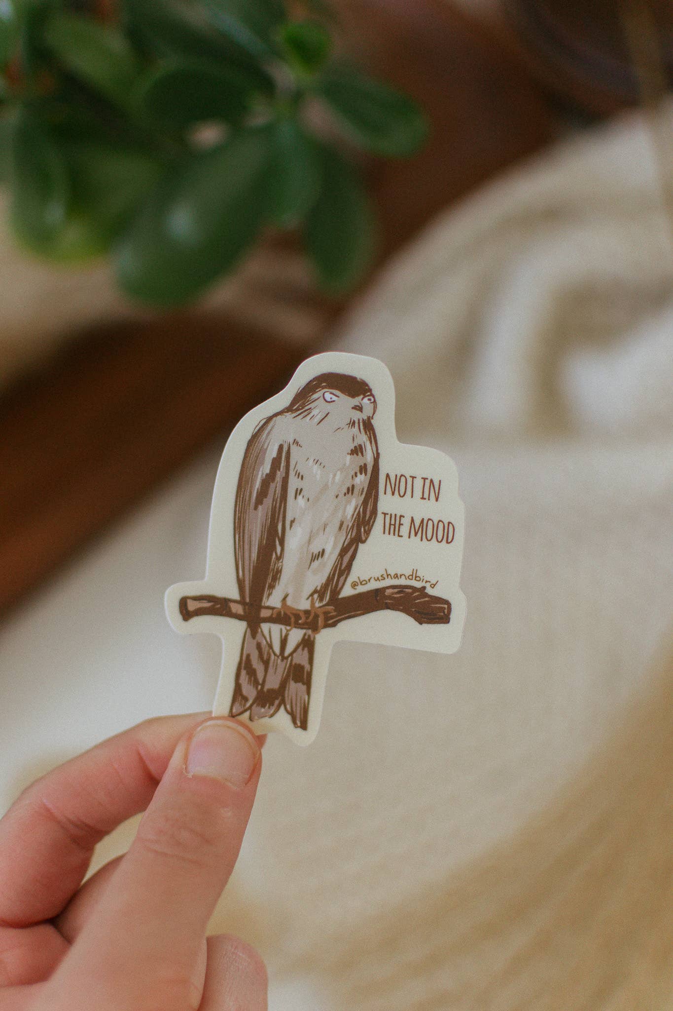 Grumpy Hawk Sticker