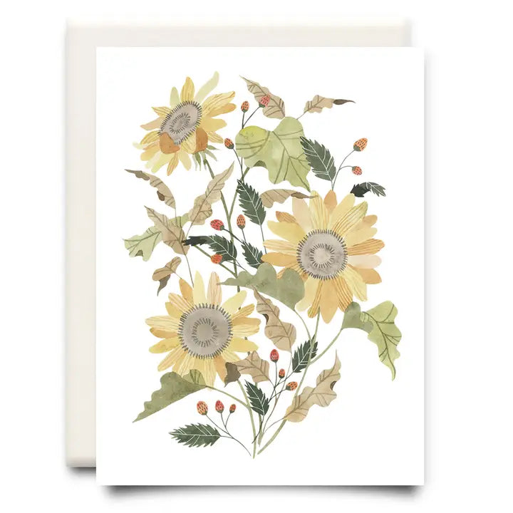 Collection Image