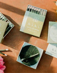 Mimosa Incense Match