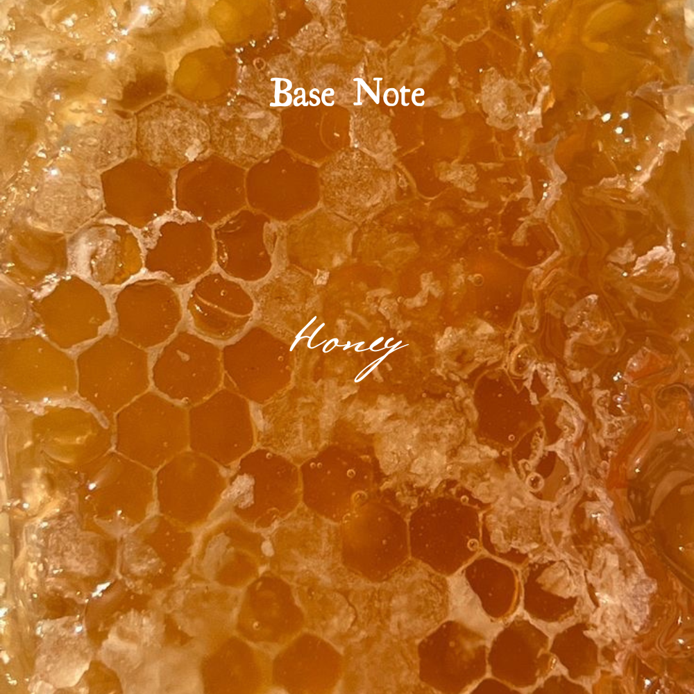 Milk and Honey Candle