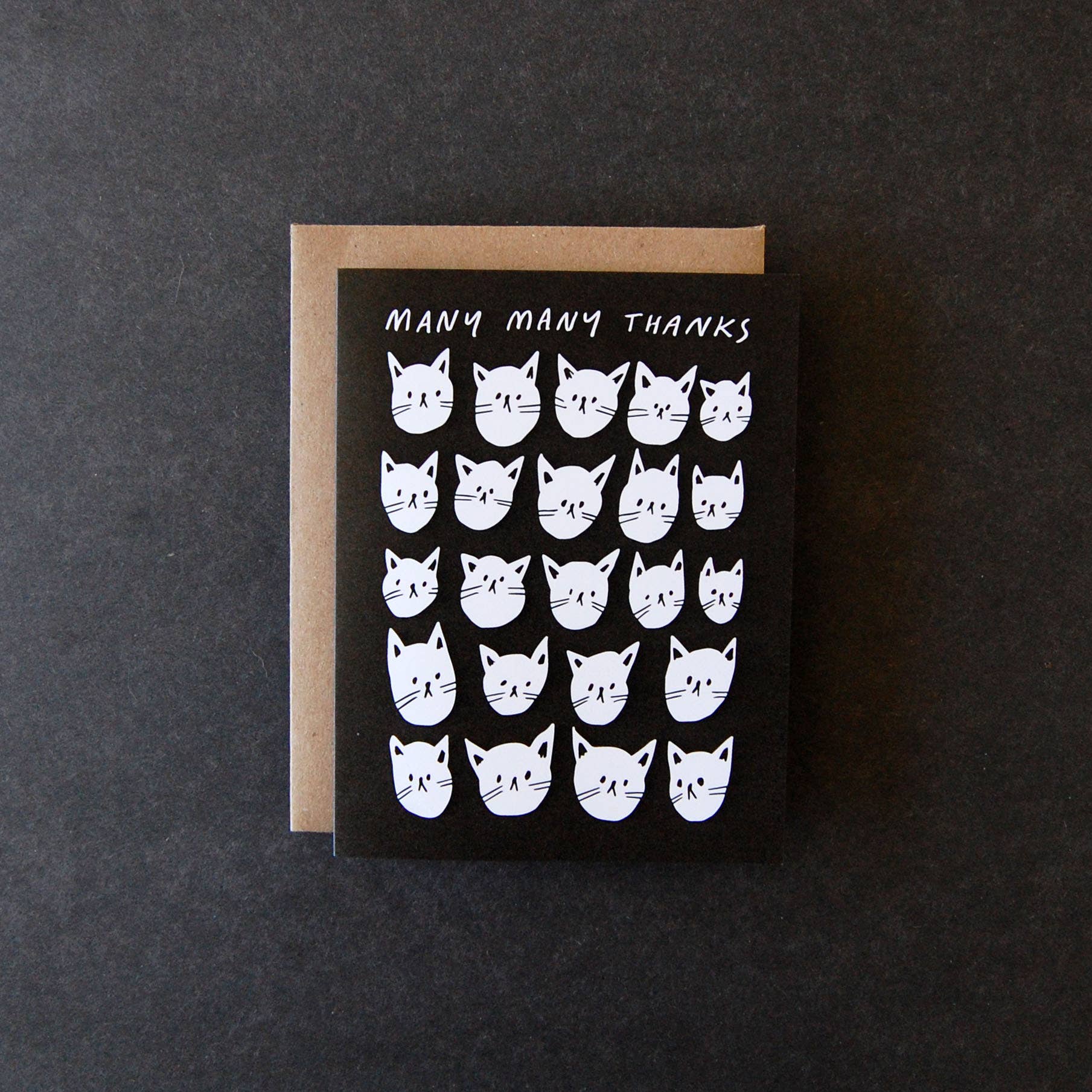 Many Many Thanks - Greeting Card