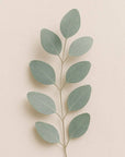 Pocket Hand Sanitizer | Lavender Eucalyptus
