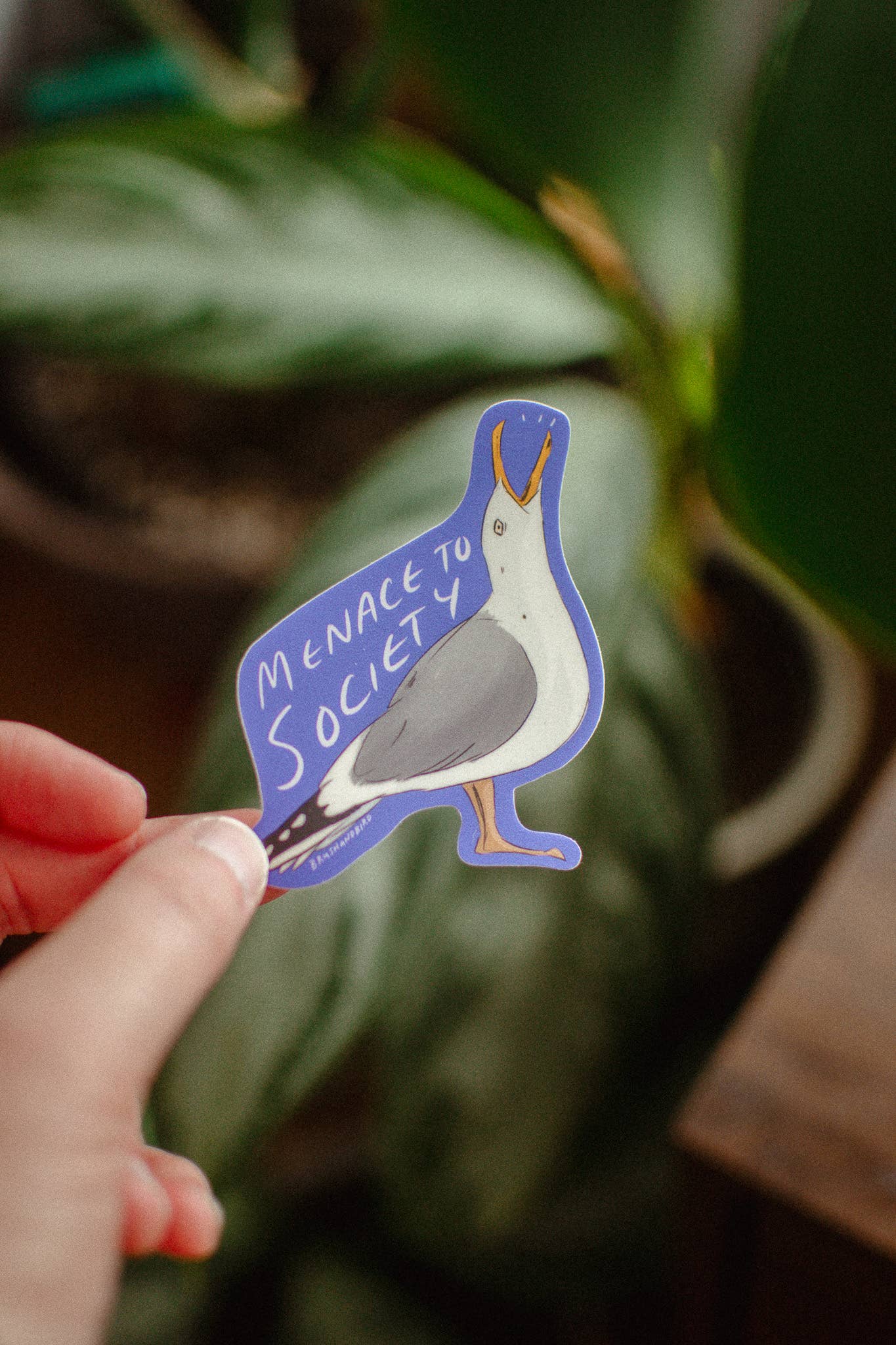 Funny Seagull Sticker