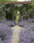 Clary Sage and Lavender Scented Candle
