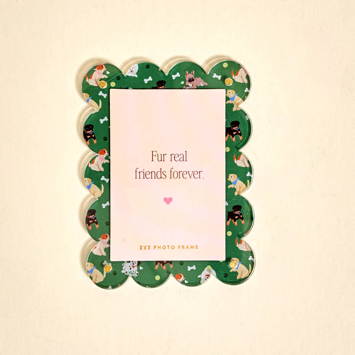 Mini Acrylic Picture Frame Magnet: Dog Days