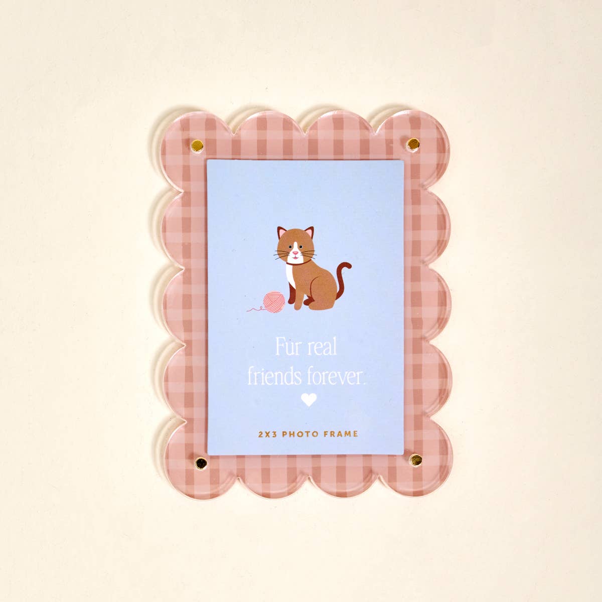 Mini Acrylic Picture Frame Magnet: Cool Cat