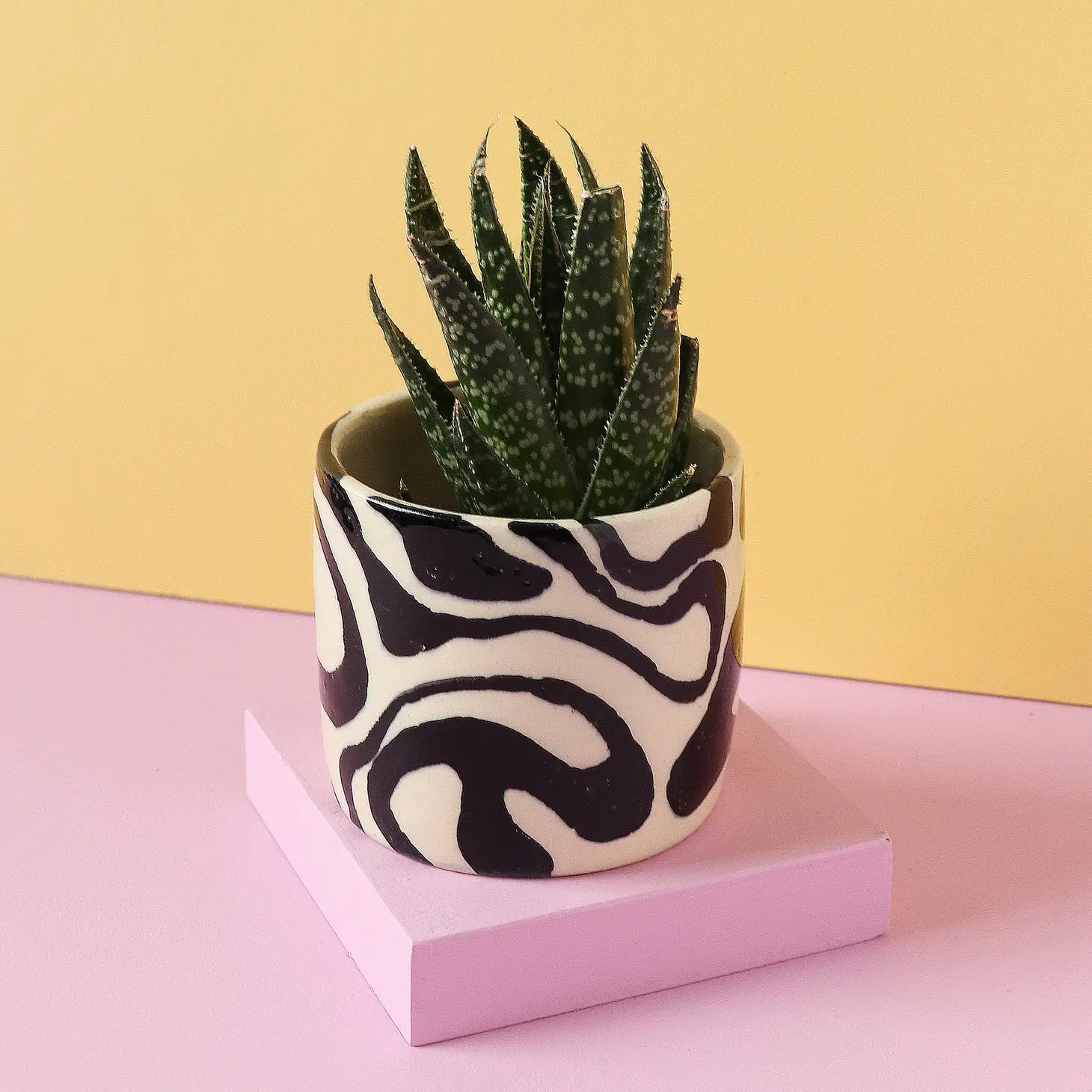 Nightshift Ceramics | Small Planter: Swirl