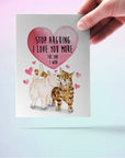 Love Argument Cats - Funny Anniversary Card