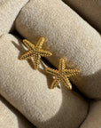Starfish Studs