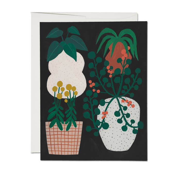 Indoor Plants - Greeting Card