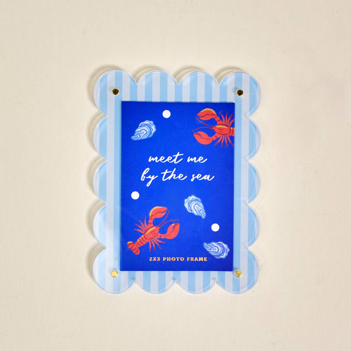 Mini Acrylic Picture Frame Magnet: Coastal Catch