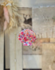 Seashell Claw Clips