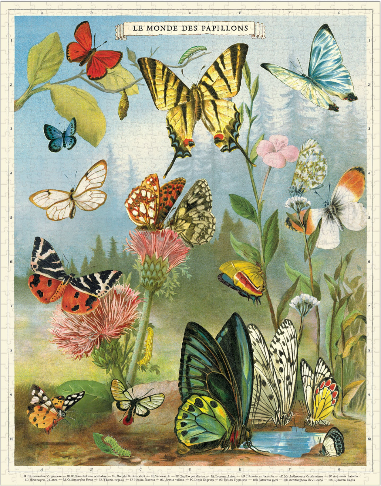 Vintage Puzzle | World of Birds
