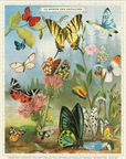 Vintage Puzzle | World of Butterflies
