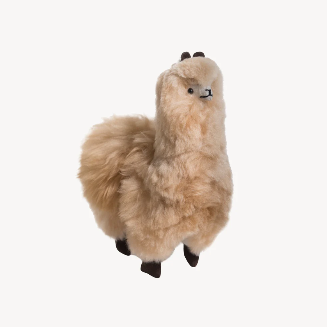 Alpaca Fur Standing Alpaca