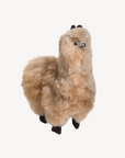 Alpaca Fur Standing Alpaca