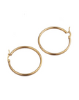 Lumina Dangle Hoop | Aventurine